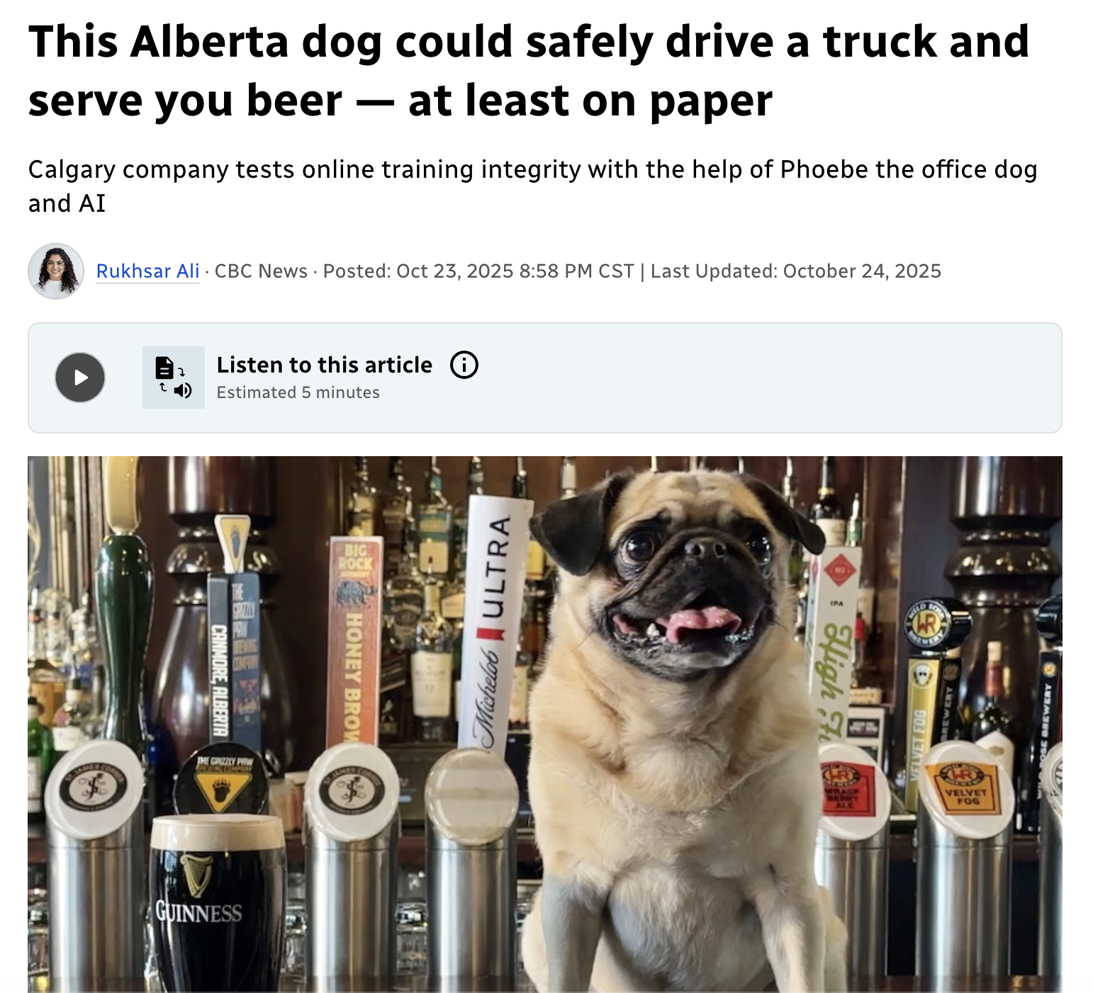 CBC News: this Alberta dog could drive a truck and serve beer, on paper