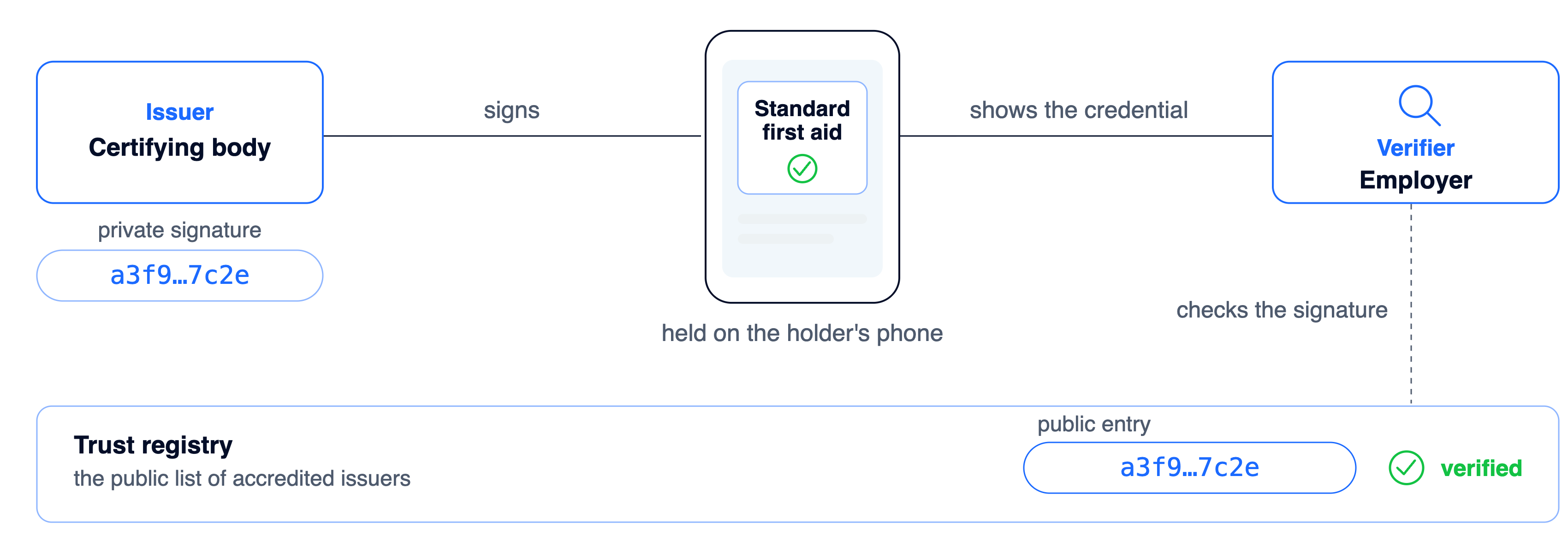 How verification works: the issuer signs, the credential is held on the holder's phone, the verifier checks the signature against the public trust registry